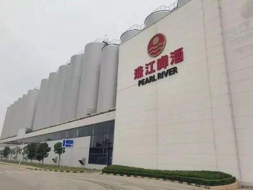 南沙崛起 廣州下一個(gè)琶醍，商務(wù)信息咨詢新機(jī)遇